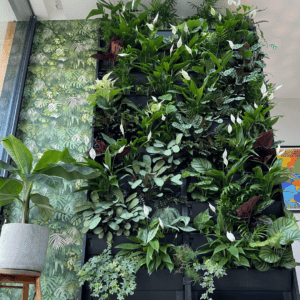 an indoor living wall