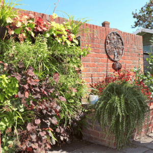 a living wall in a garden
