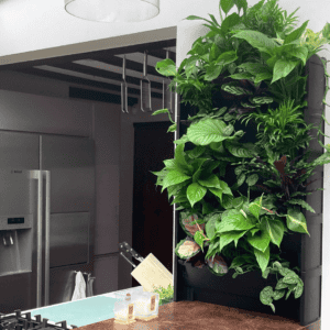 an indoor living wall
