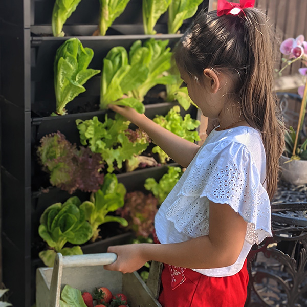 Grow Your Own