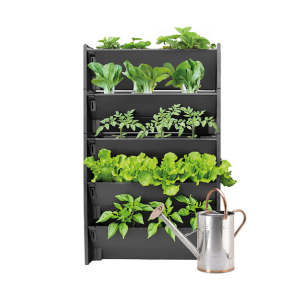 Grow Your Own