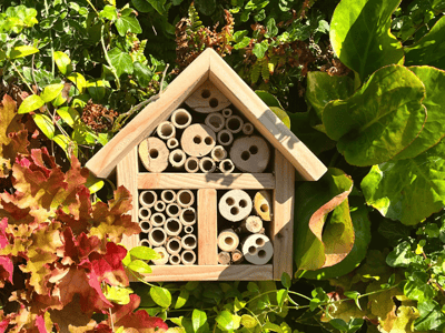 Habitat Box for PlantBox™