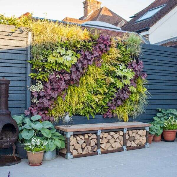 Living wall in a residential setting.