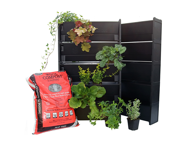 PlantBlox Sunny Galore